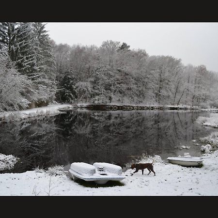 Cabane Limousine Au Bord D'Un Etang Bonnac-la-Côte Buitenkant foto