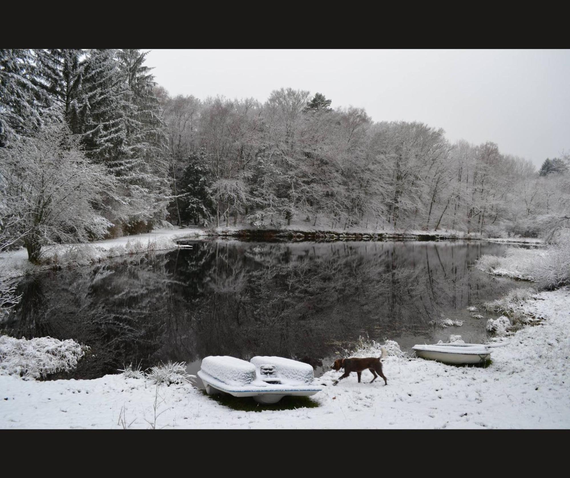 Cabane Limousine Au Bord D'Un Etang Bonnac-la-Côte Buitenkant foto